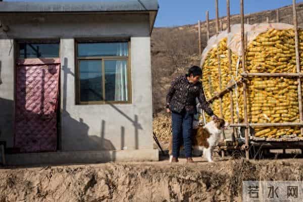 八十年代的婚姻（四）