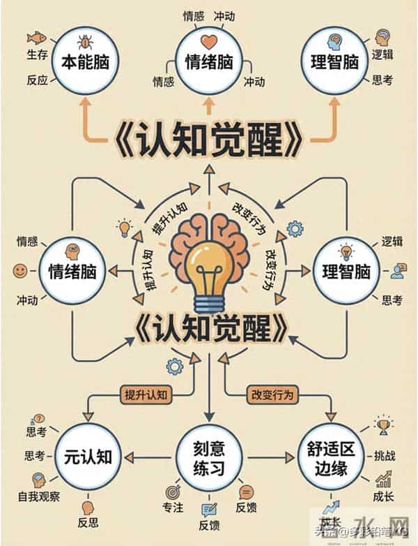 3个大脑,1个你:谁在主宰你的人生?