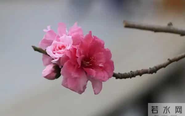 女人有没有对你动心，其实根本不用猜，就看这一点就知道了