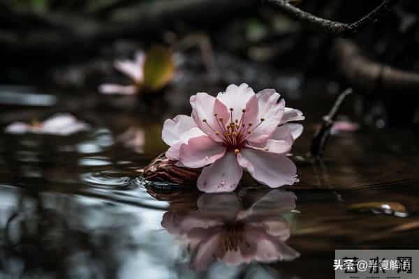 爸妈在我家养老十年，提前宣布分家产，哥哥分30万，弟弟拿一套房