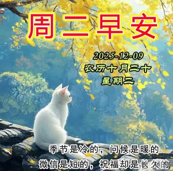 2025.12.09今日十月二十——早上好，周二祝福问候语，早安图片