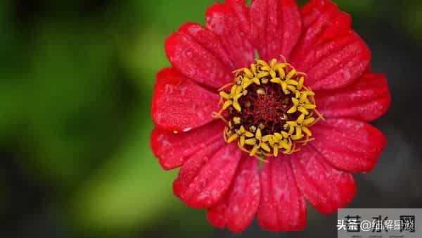 12月10日星期三，巳蛇要“笑醒”了，你将会遇见你最大的2位贵人