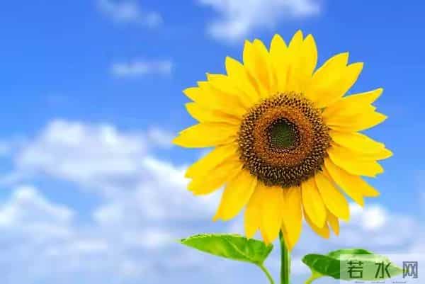 2026年贵人最多的三个星座，越低调，越有人挺你