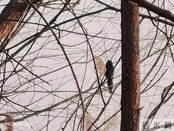 如果我们人生中也有个导航 我们就不会在迷途里慌张