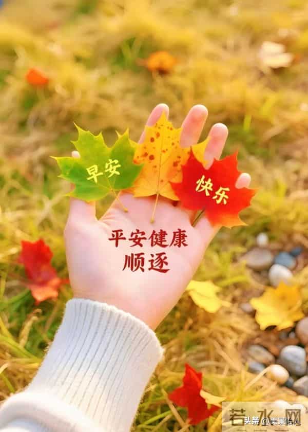 2025.12.10号周三早安祝福美图