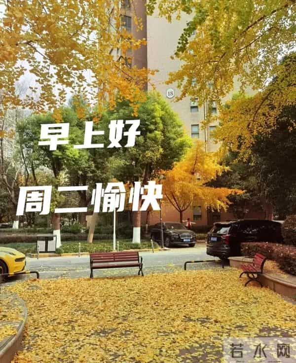 2025年12月9日早上好 早上好温馨问候祝福语 早安精美图片 周二愉快