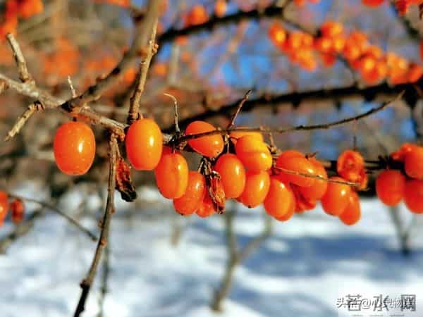 男人爱你”和“男人玩你”，身体语言不会说谎。