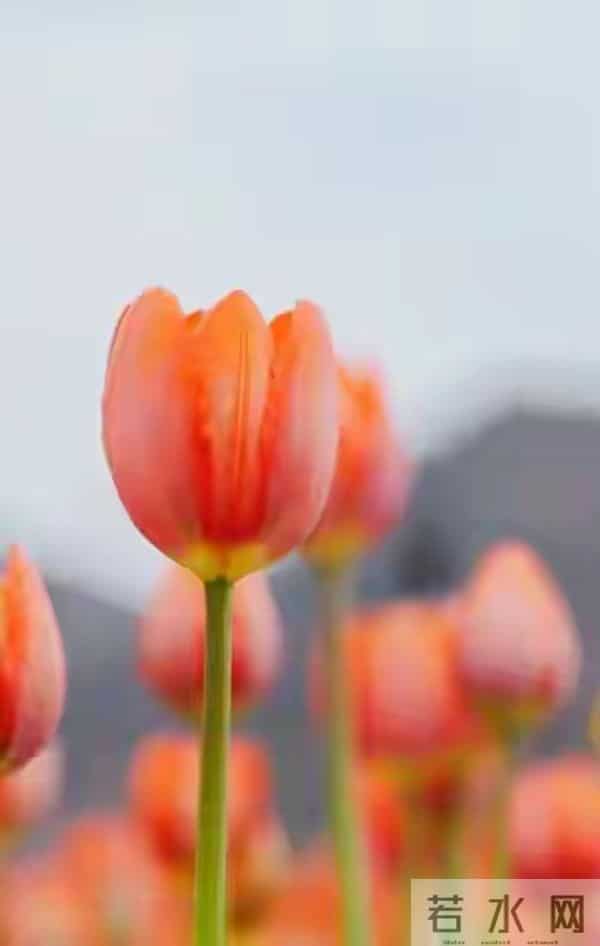 人没了,真的一切归零!