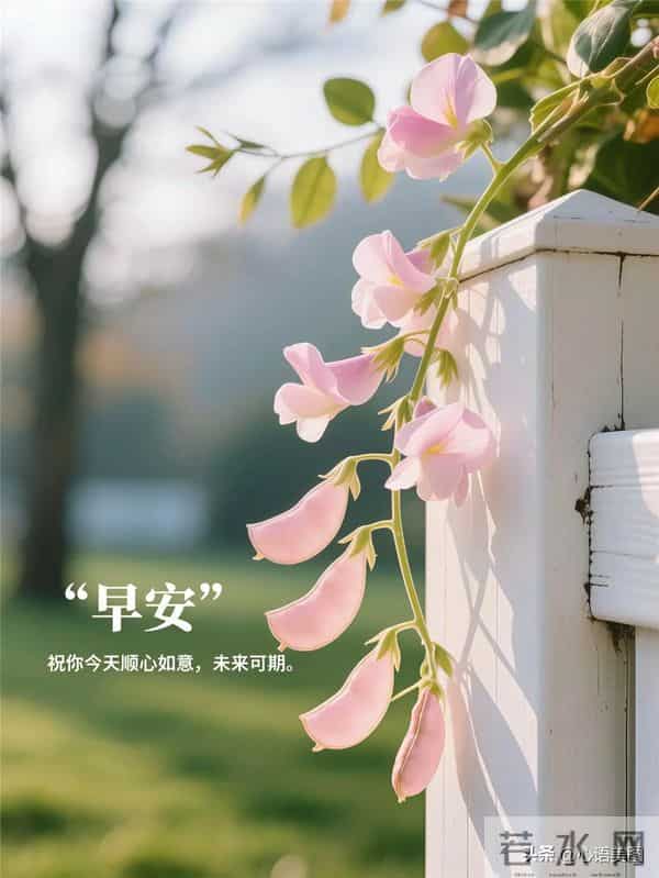 早安正能量图片文案：喊破嗓子，不如甩开膀子！