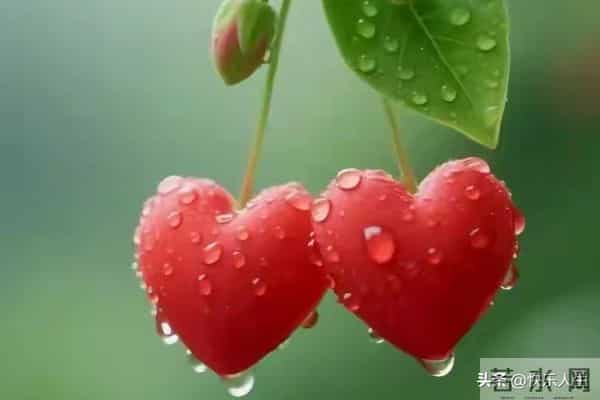 惊人的因果关系-男女之间,一旦发生暧昧关系,一辈子也忘不了