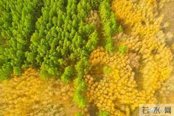 尽量不要跟身边任何人！包括你的亲人，分享这4件事