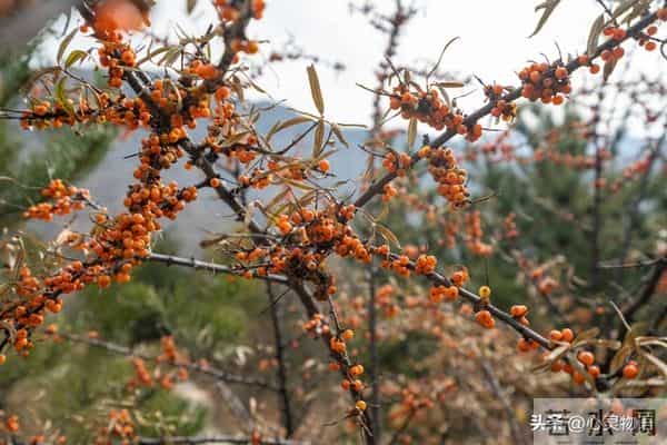 男人爱你”和“男人玩你”，身体语言不会说谎。