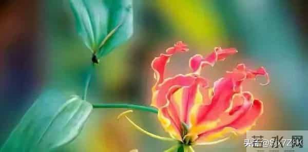 忠告子女:再孝顺,也不要为年过70的老父老母,做这4件事