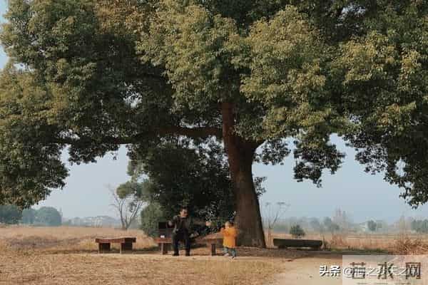 人生的道路上想活的通透快乐,就一定要远离四种人