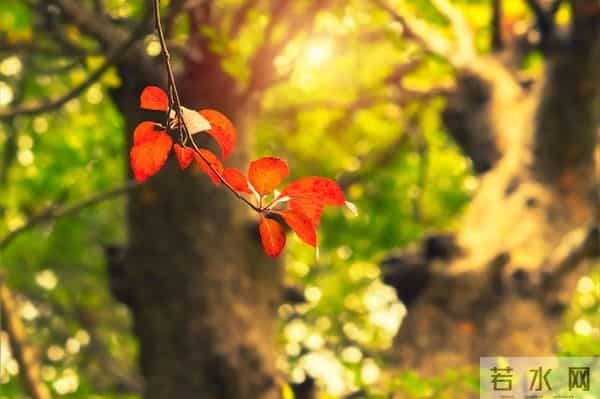 过七十岁，能混到以下几点，就算成功，就该知足