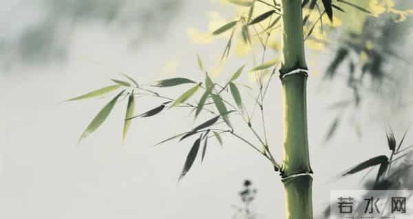 老祖宗传下的《修身铭》，整整十句，句句都是养心良方，值得品读