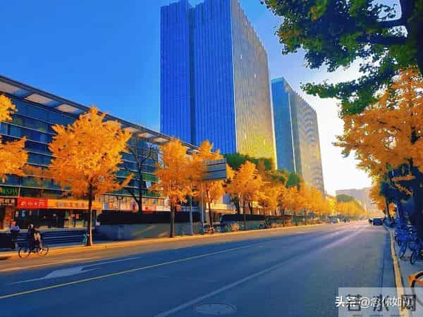 情绪管理超重要的,你怎么做到的?分享一下呗!