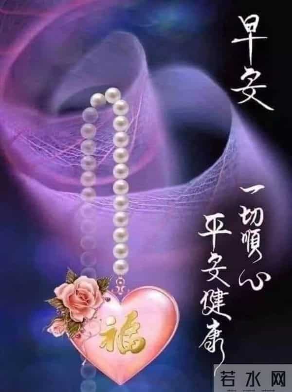 早安,以花寄暖,日常皆安。