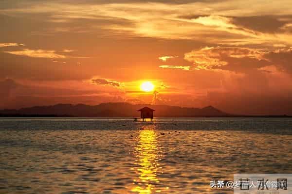 生活的苦，唯有自渡：扛住所有难，才能活成自己的岸