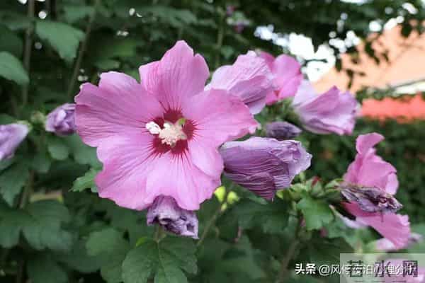 两个有家庭的人，相互暧昧已经不妥！这几件事就别做了