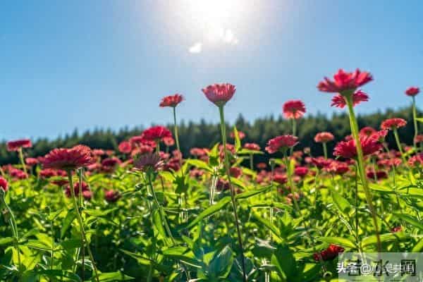 两性关系扒光给你看：10个的真相，不准反驳