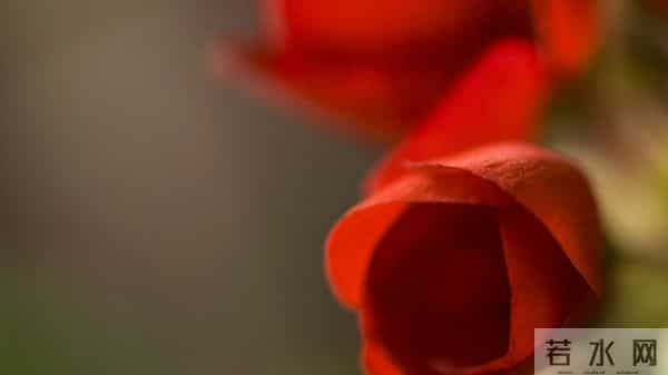 人算不如天算，12月11日至12月17号下周星座运势，天秤座