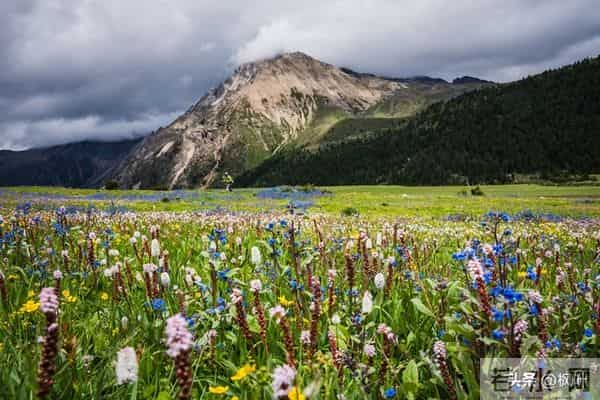 两性关系：多数女性步入60岁，最藏不住的4个渴望，你真的明白吗