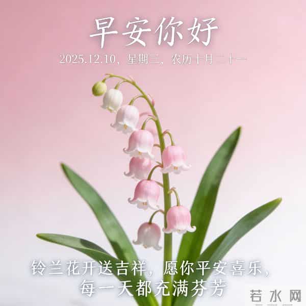 2025.12.10 早安祝福 围巾手套御严寒 亲友叮咛情意暖 早安幸福万年长