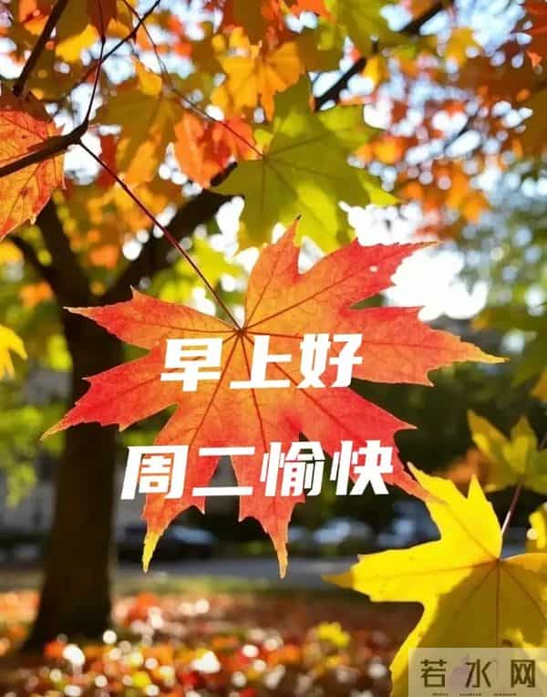 2025年12月9日早上好 早上好温馨问候祝福语 早安精美图片 周二愉快