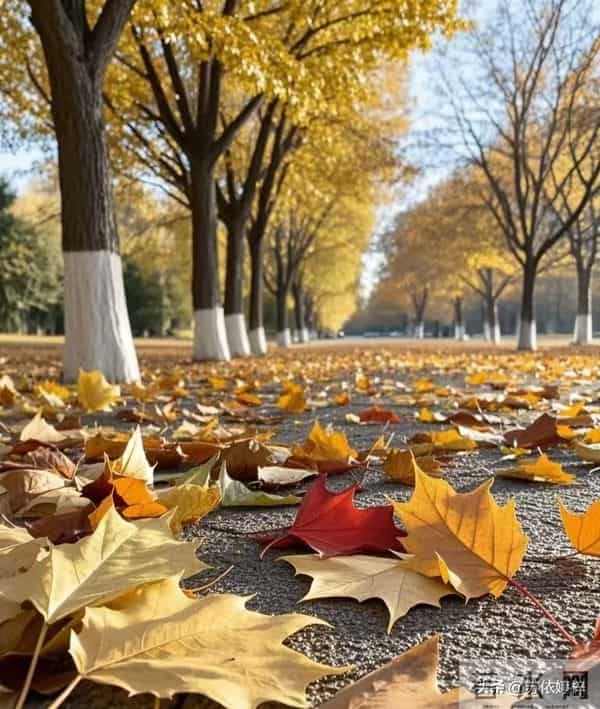 亲人离世后,家人会大病一场,有人挺过来了,而有人没有挺过来