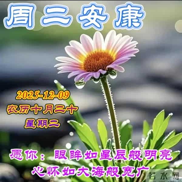 2025.12.09今日十月二十——早上好，周二祝福问候语，早安图片