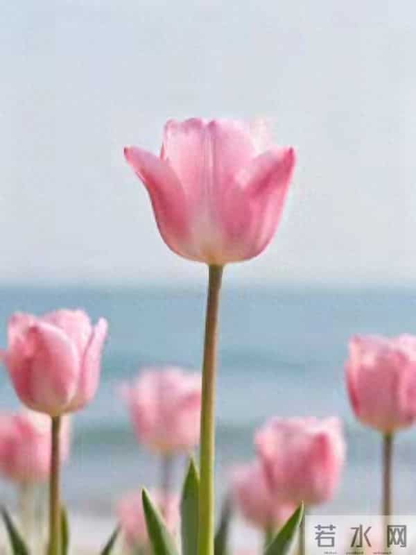 人没了,真的一切归零!