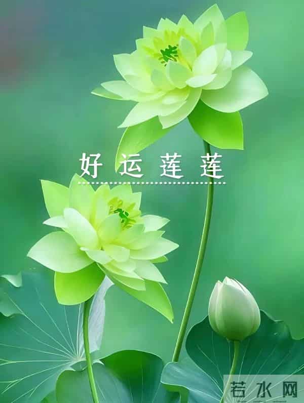 2025.12.09 冬天周二早安愉快!最新精美周二早上好温馨祝福语图片