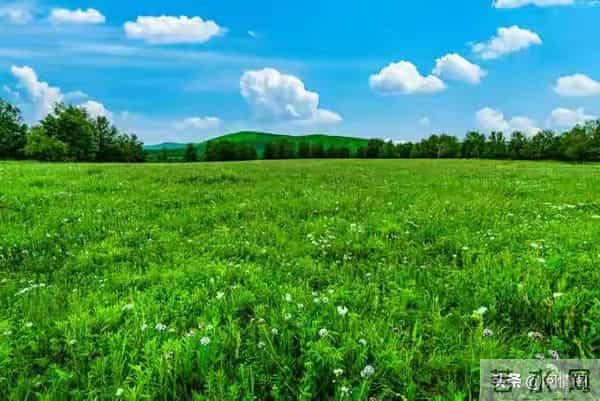 异性接近,女人跟本不是怕你动手脚,而是怕这三个无解的问题!