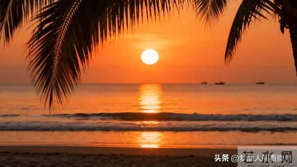 生活的苦，唯有自渡：扛住所有难，才能活成自己的岸