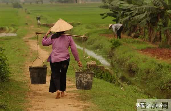 我花10万娶了个越南新娘,洞房夜,她用中文说:我们谈谈