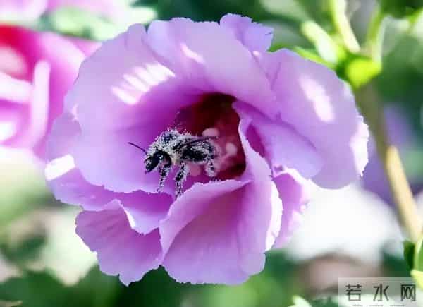 女人有没有对你动心，其实根本不用猜，就看这一点就知道了