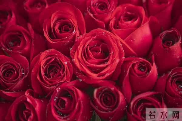 想你,念你,有你真好,你在心中,我的心中才有温暖