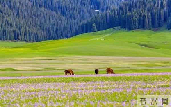 女人这样和男人联系，其实是在拒绝你，你就不要打拢了