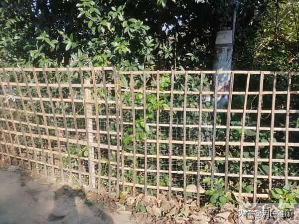 认真收拾家务的人,内心都很平静……