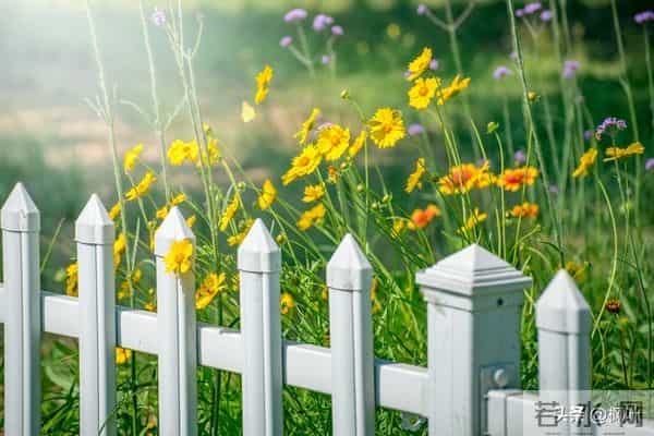 两性关系:多数女性步入60岁,最藏不住的4个渴望,你真的明白吗