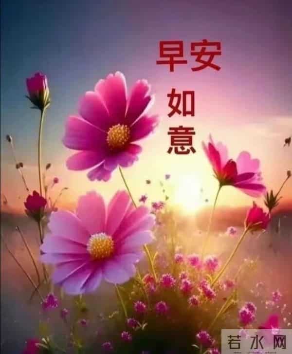 早安,以花寄暖,日常皆安。