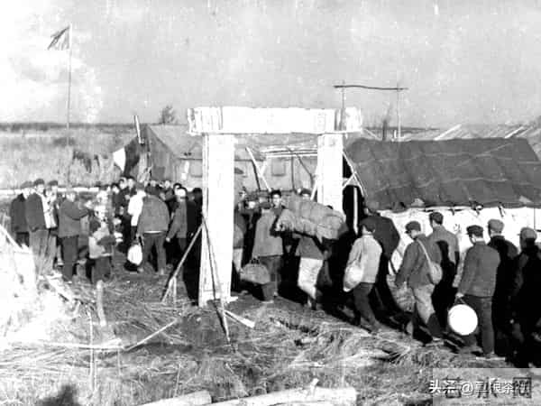 知青往事：离开北大荒时我塞给他一张纸条，三年后我俩喜结连理