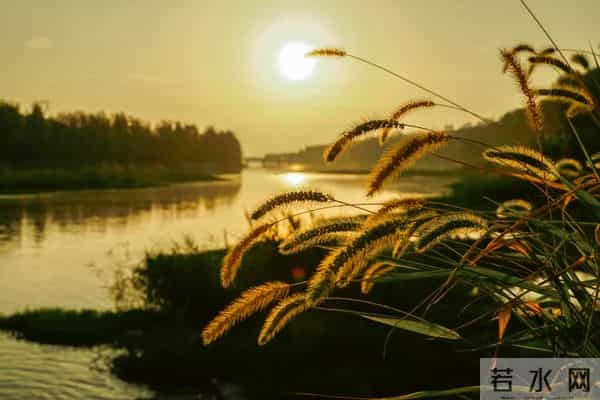 一眼就爱上！20个让你念念不忘的神仙句子，每一句都值得抄下来