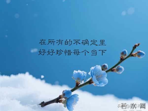 有些东西，好就好在得不到。