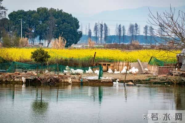 在女儿家带外孙3年，她给我买了一件羽绒服，我：也给你婆婆买
