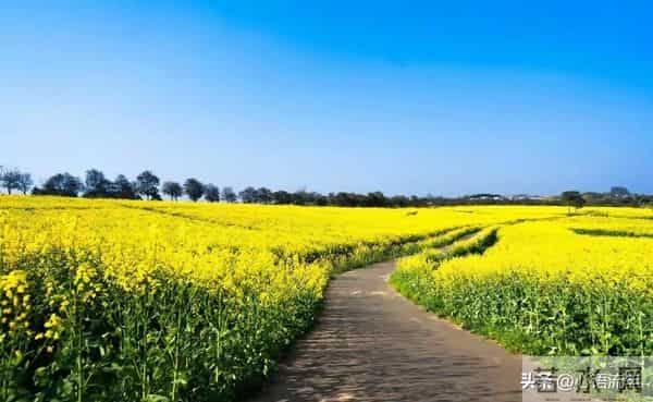 活了大半辈子才懂:人啊,一切都是命