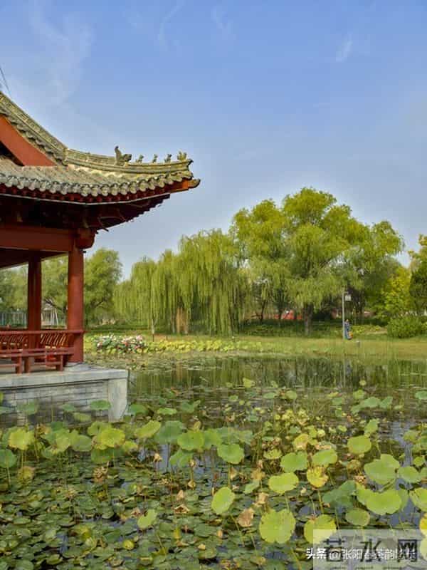 夫妻生活里，女人最在意的5个亲密需求，多数男人总在忽略