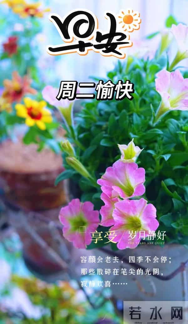 11月9日早上好 早上好温馨问候图片 早安图片最新今天 周二愉快