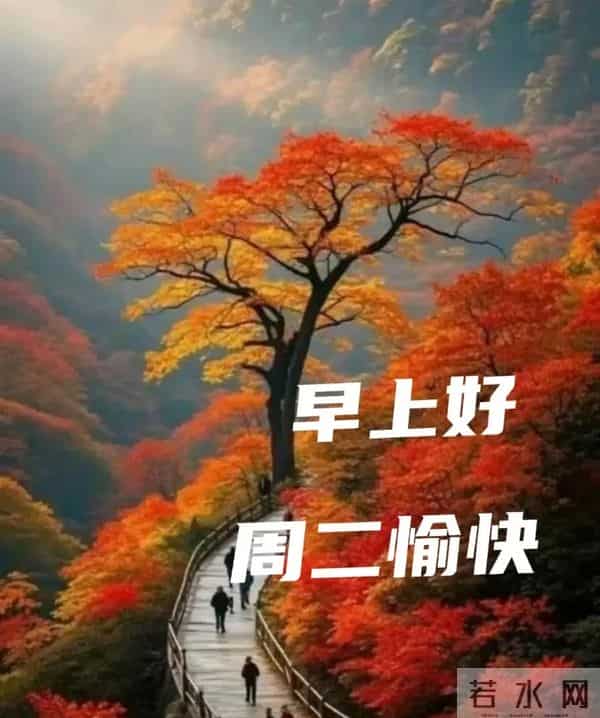 2025年12月9日早上好 早上好温馨问候祝福语 早安精美图片 周二愉快